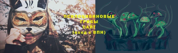 МДПВ Аркадак