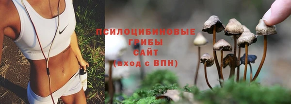 дурь Алексеевка