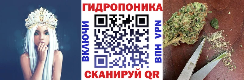 Шишки марихуана THC 21%  Адыгейск 